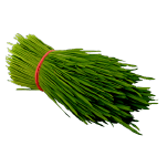 Wheatgrass Powder