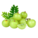 amla