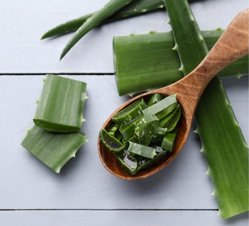 benefits of aloe vera for skin and hair