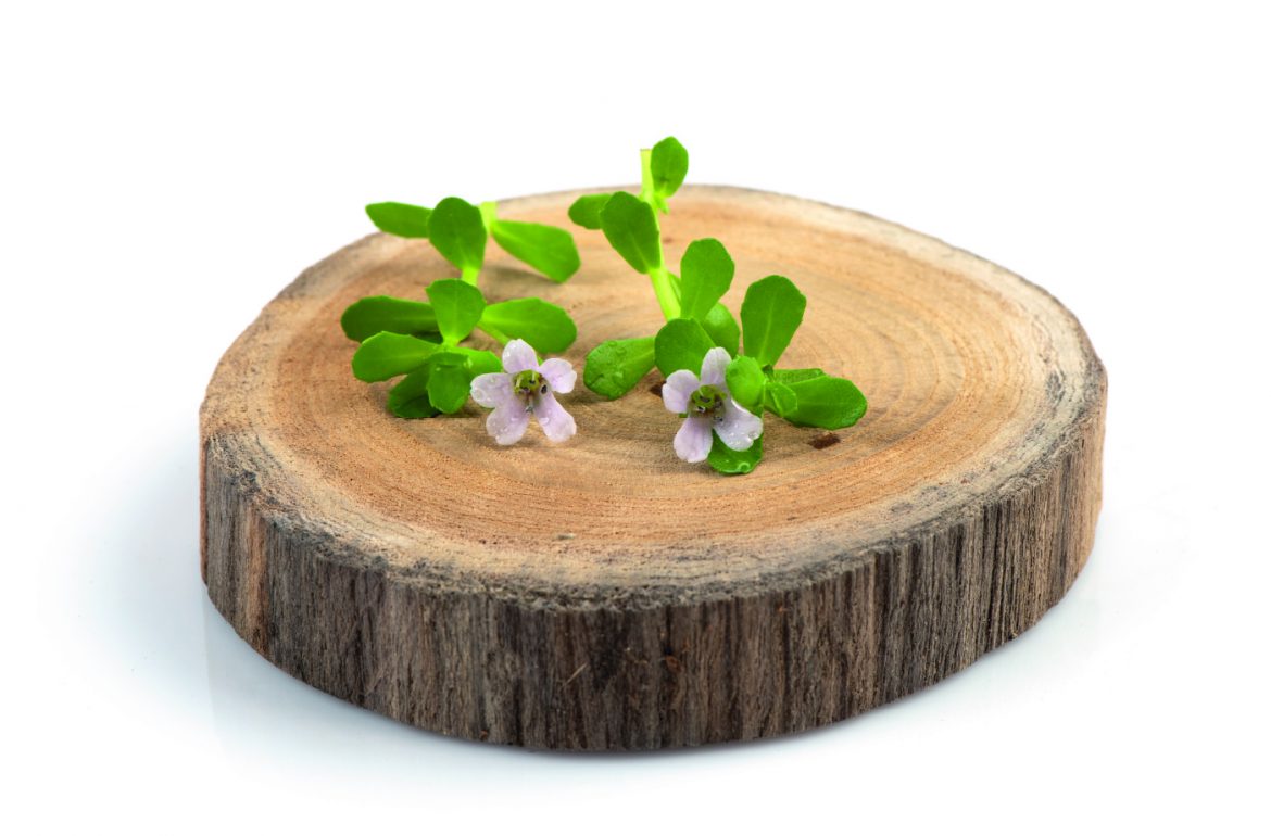 Health benefits of supplementing brahmi